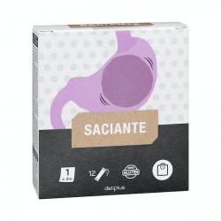 Sticks Saciante Deliplus Caja 0.06 100 g