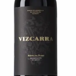 Vizcarra Tinto 2021