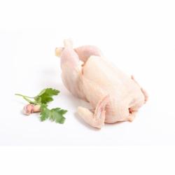 Pollo entero limpio 2,2 kg prox