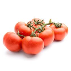 Rama de tomates   X 0.73 kg