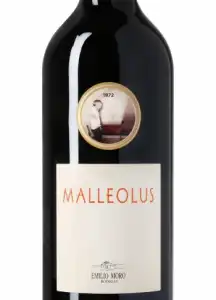 Malleolus Tinto 2019