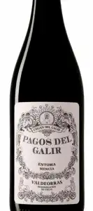 Pagos De Galir Tinto 2019