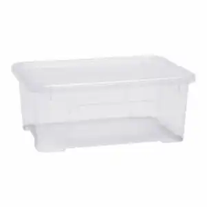 Caja de Ordenación con Tapa CARREFOUR HOME 10 l - Transparente