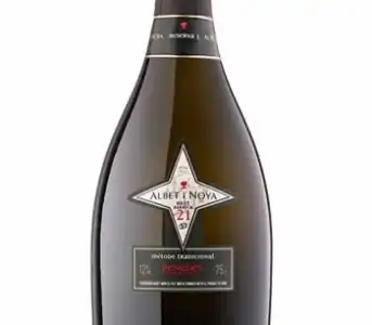 Albet I Noya Brut Barrica 21 Espumoso Brut Reserva