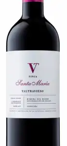 Valtravieso Finca Santa María Tinto 2020