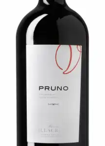 Pruno Tinto 2019