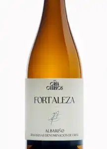 Fortaleza Blanco 2022