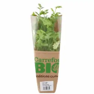 Cilantro ecológico Carrefour Bio maceta 1 ud