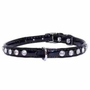 Collar para perro Shiny 10x300 Mm